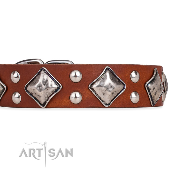 Full grain natural leather dog collar with trendy corrosion proof studs