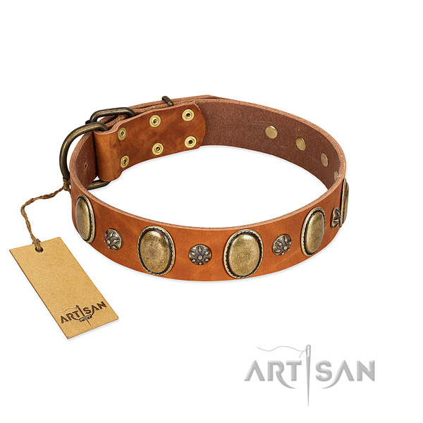 Everyday walking soft full grain genuine leather dog collar with studs
