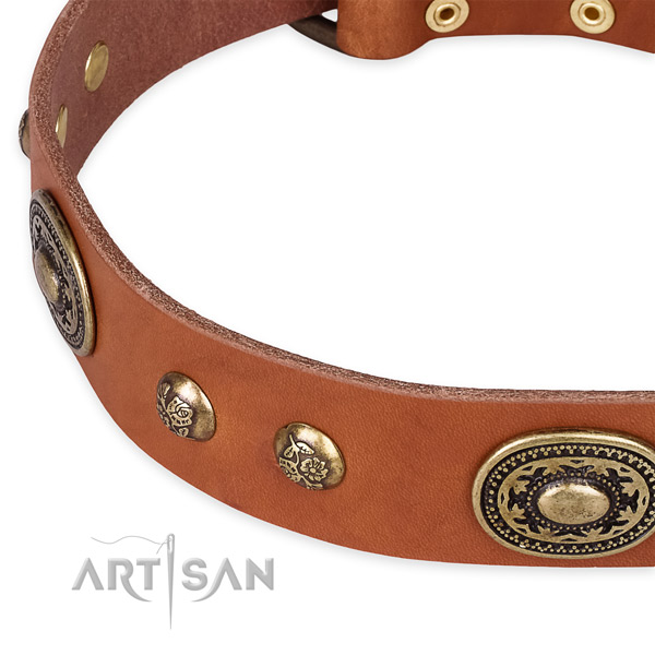 Stylish design full grain leather collar for your impressive doggie