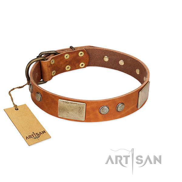 Easy adjustable genuine leather dog collar for stylish walking your four-legged friend