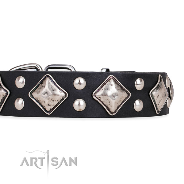 Genuine leather dog collar with trendy reliable decorations