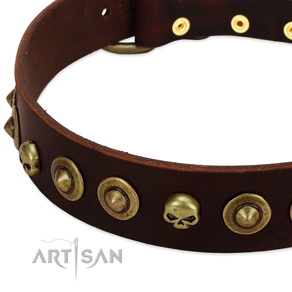Unique embellishments on natural leather collar for your four-legged friend