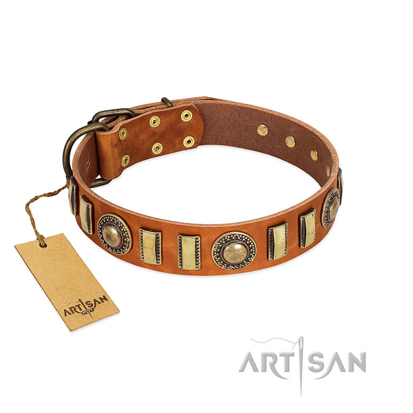 Best quality natural leather dog collar with rust-proof fittings