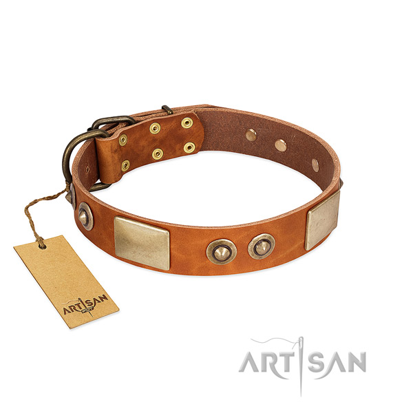 Easy wearing natural genuine leather dog collar for everyday walking your four-legged friend