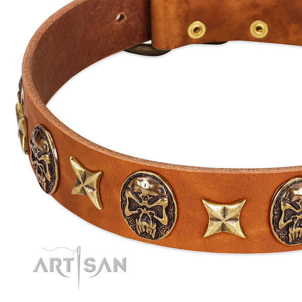 Corrosion proof hardware on leather dog collar for your doggie