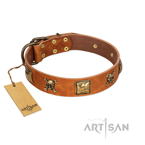 Stunning full grain natural leather dog collar with corrosion proof embellishments