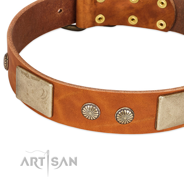 Corrosion proof fittings on genuine leather dog collar for your doggie