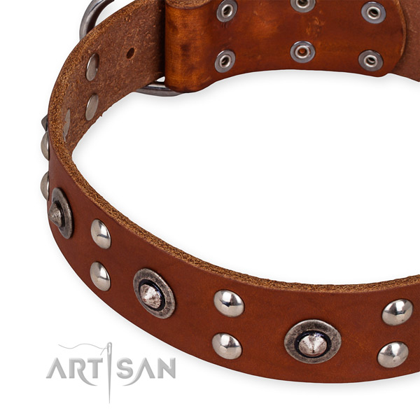 Full grain genuine leather collar with durable traditional buckle for your lovely four-legged friend