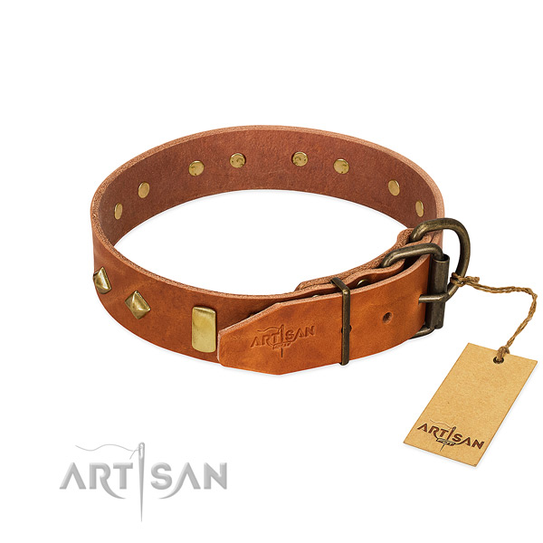 Daily walking full grain genuine leather dog collar with stylish design adornments