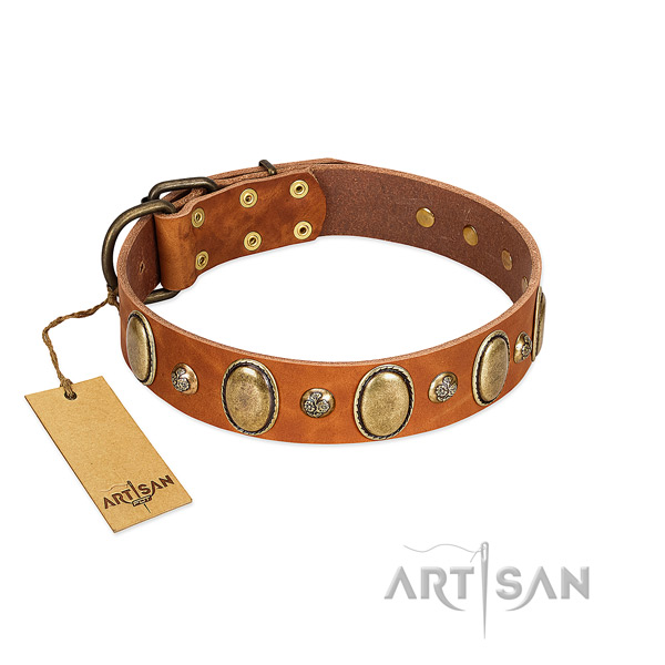 Genuine leather dog collar of reliable material with remarkable decorations