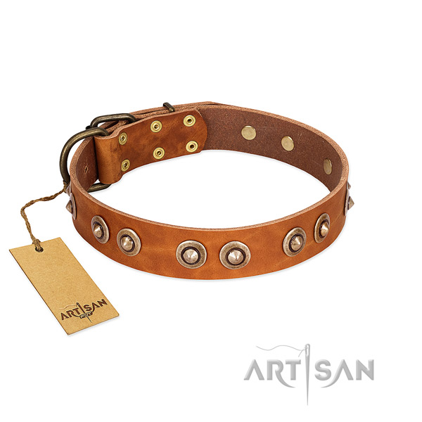 Reliable embellishments on genuine leather dog collar for your four-legged friend