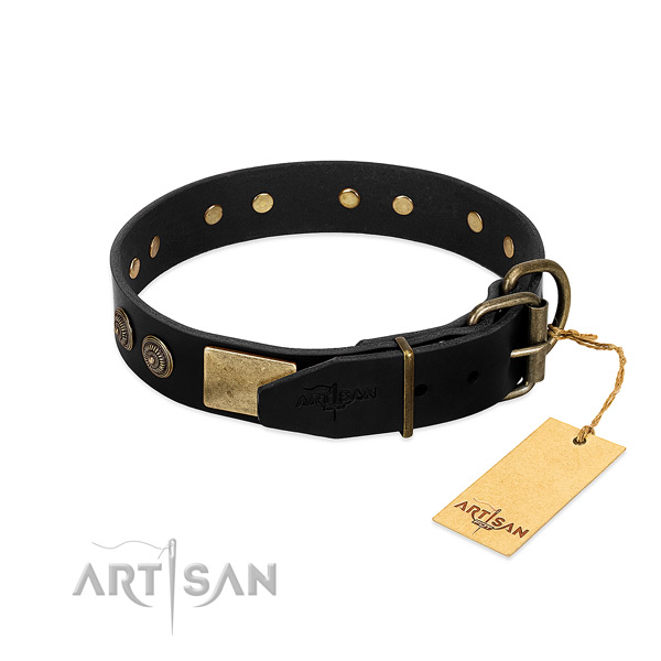 Durable adornments on full grain leather dog collar for your four-legged friend