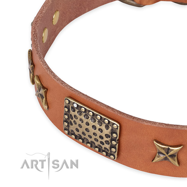 Genuine leather collar with reliable fittings for your lovely four-legged friend