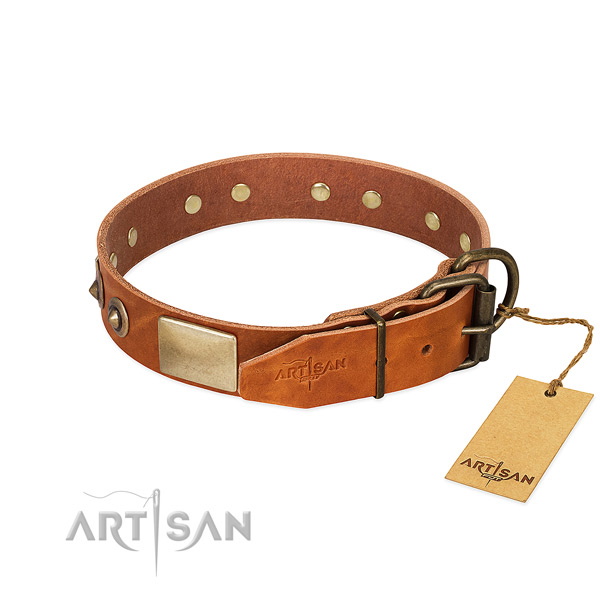 Rust resistant adornments on daily walking dog collar