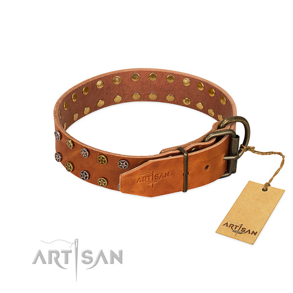 Walking genuine leather dog collar with incredible adornments