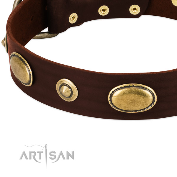 Corrosion proof embellishments on natural leather dog collar for your dog