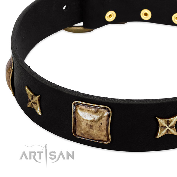 Natural leather dog collar with trendy adornments