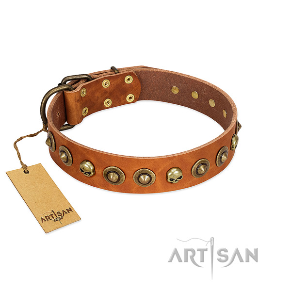 Genuine leather collar with top notch adornments for your doggie