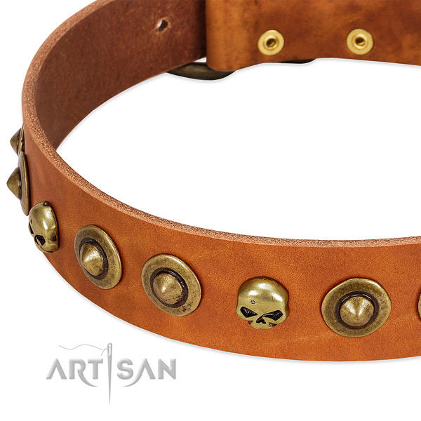 Significant embellishments on leather collar for your doggie
