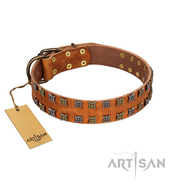 Flexible leather dog collar with studs for your pet