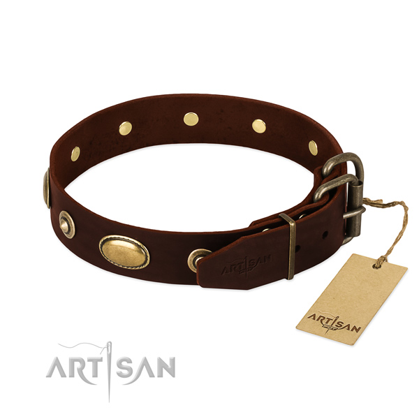 Durable D-ring on leather dog collar for your canine