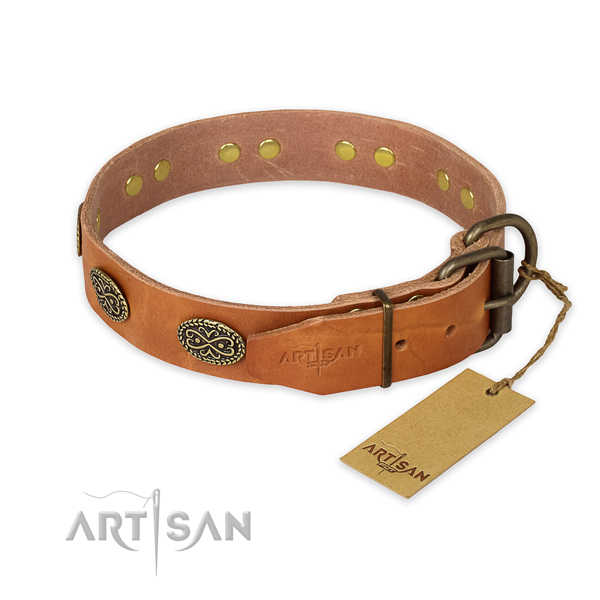 Corrosion proof buckle on full grain leather collar for stylish walking your canine