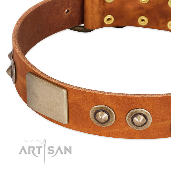 Corrosion resistant hardware on full grain natural leather dog collar for your four-legged friend
