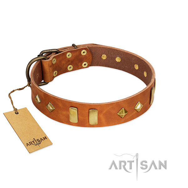 Walking flexible natural leather dog collar with studs