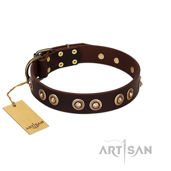 Corrosion proof traditional buckle on full grain natural leather dog collar for your dog