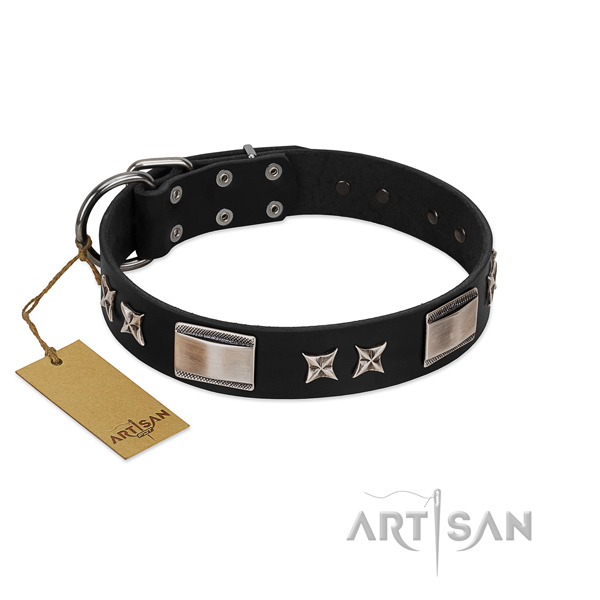 Fashionable dog collar of full grain natural leather