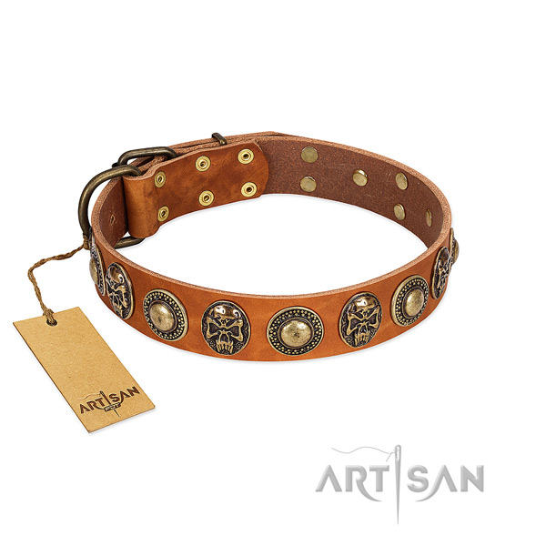 Adjustable full grain leather dog collar for stylish walking your doggie