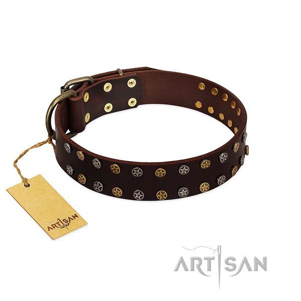 Stylish walking flexible natural leather dog collar with embellishments
