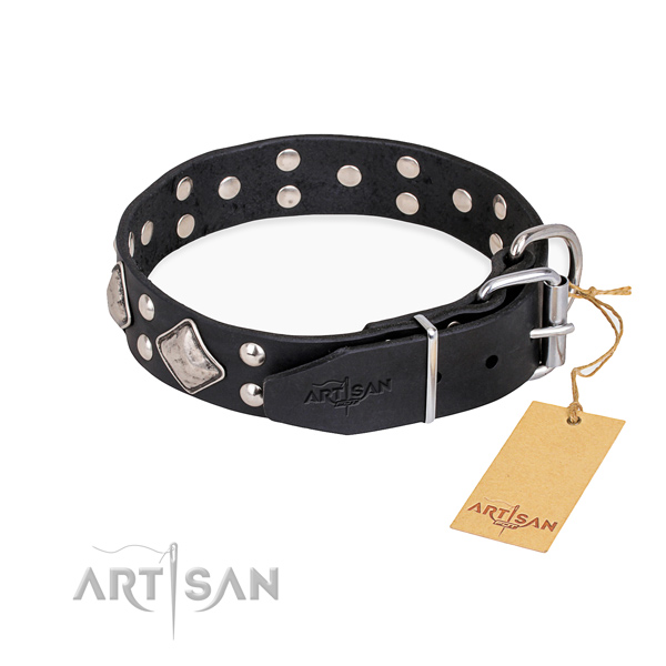 Genuine leather dog collar with awesome rust resistant adornments
