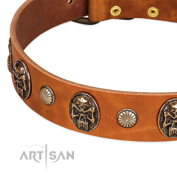Rust-proof hardware on full grain genuine leather dog collar for your dog