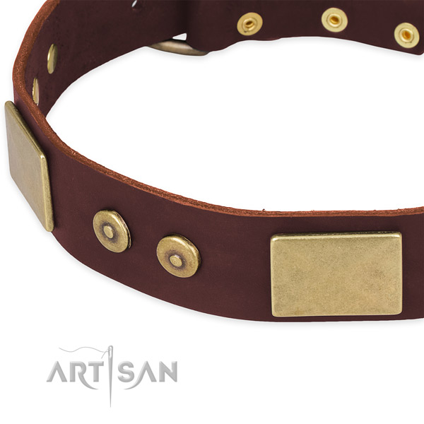Full grain natural leather dog collar with adornments for stylish walking