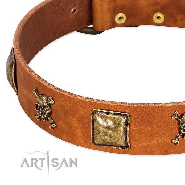 Trendy genuine leather dog collar with strong adornments