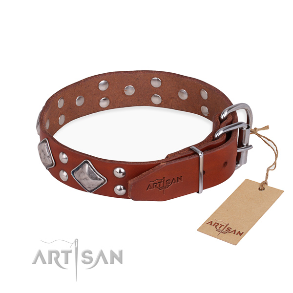 Full grain genuine leather dog collar with trendy durable adornments