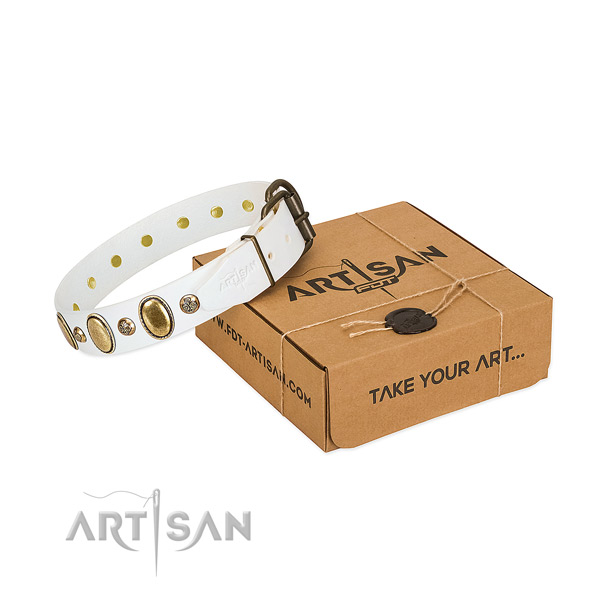 Top quality full grain natural leather dog collar with rust resistant traditional buckle