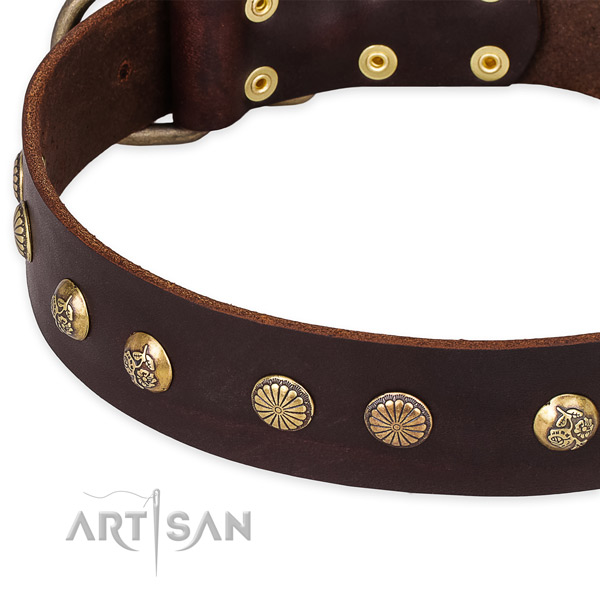 Natural genuine leather collar with rust-proof hardware for your handsome pet