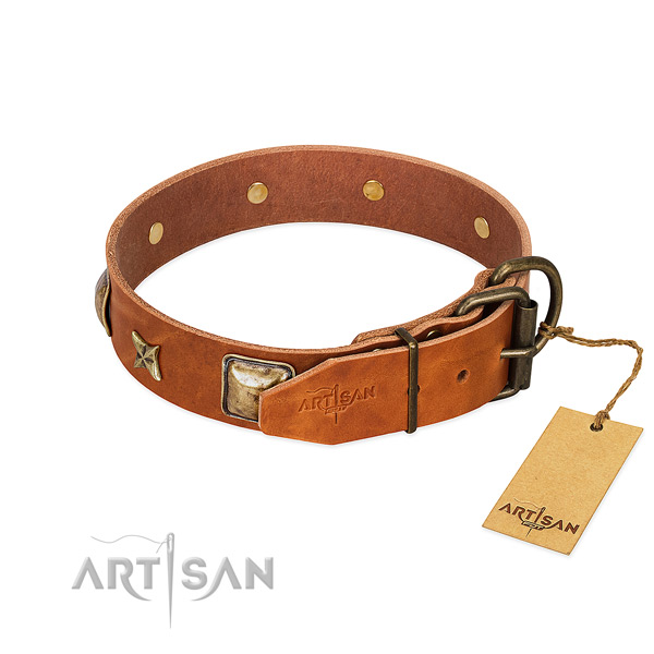 Genuine leather dog collar with corrosion proof fittings and studs