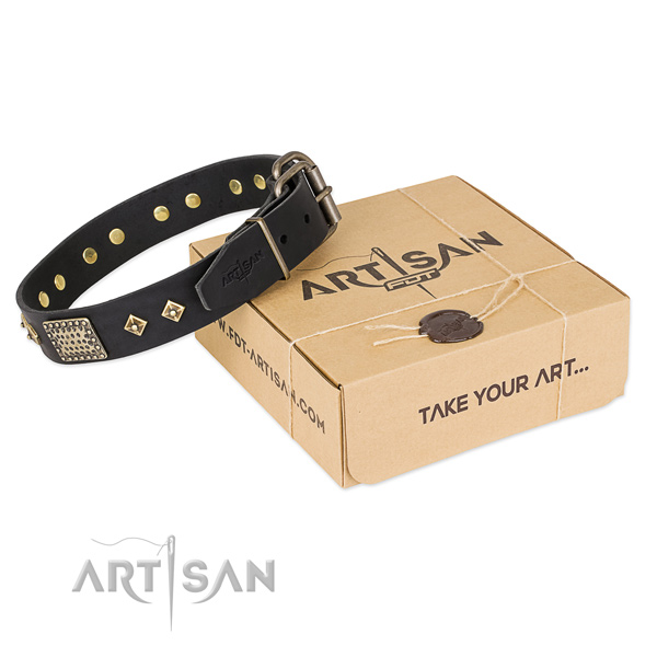 Top quality genuine leather collar for your attractive pet