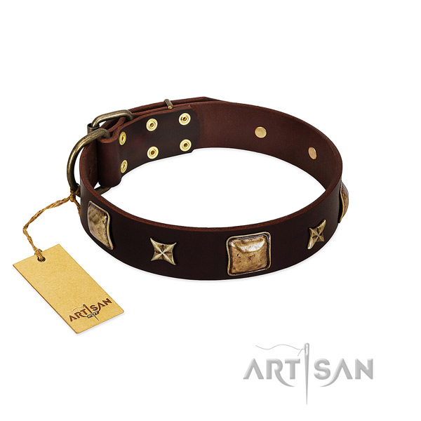 Embellished natural genuine leather collar for your four-legged friend