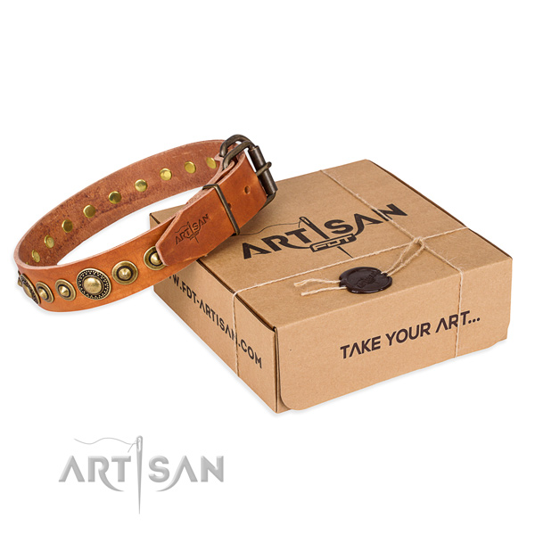 Top rate full grain genuine leather dog collar handcrafted for daily walking
