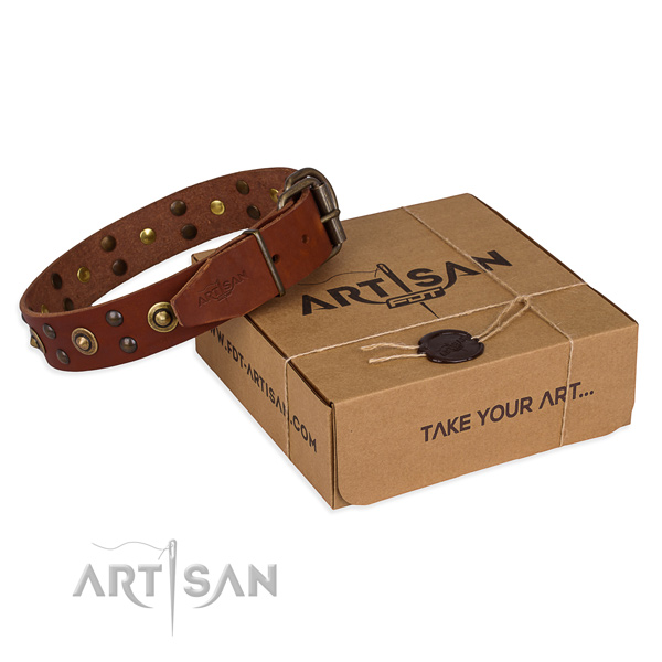 Rust-proof traditional buckle on genuine leather collar for your attractive doggie