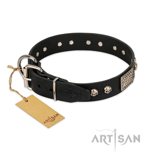 Rust-proof studs on everyday use dog collar