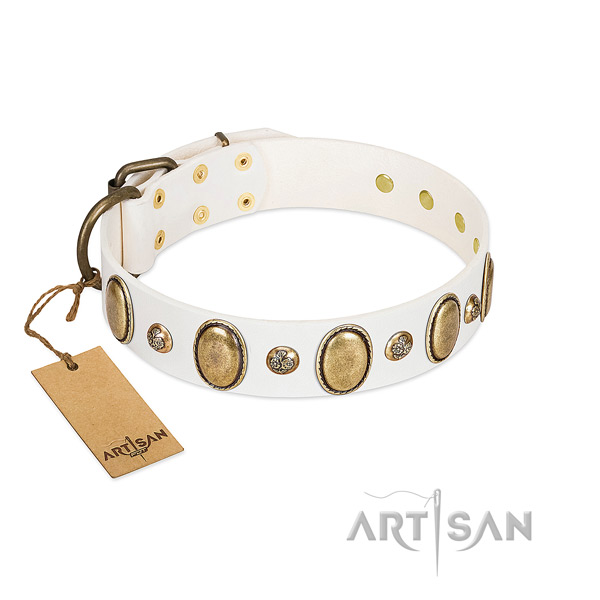 Leather dog collar of gentle to touch material with designer decorations
