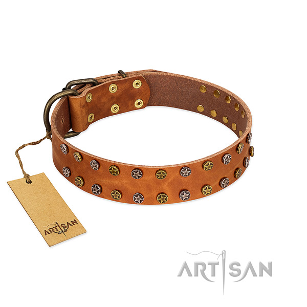 Daily walking high quality full grain leather dog collar with embellishments