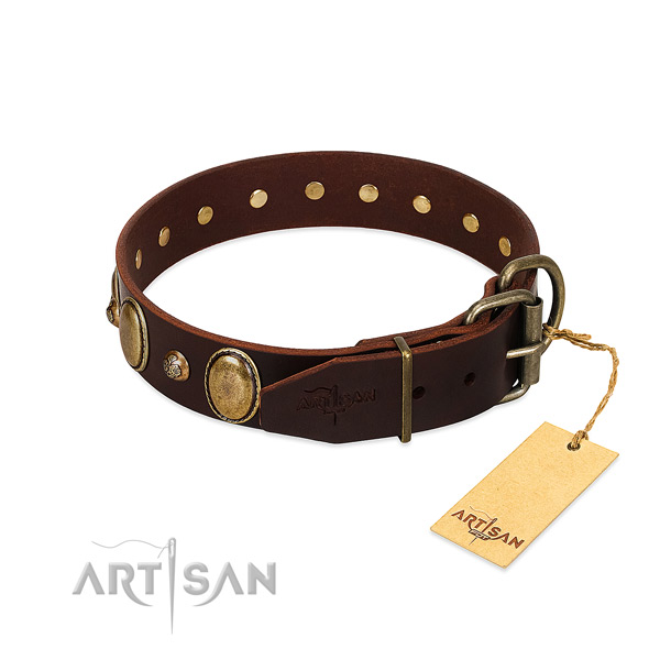 Durable traditional buckle on full grain natural leather collar for basic training your dog