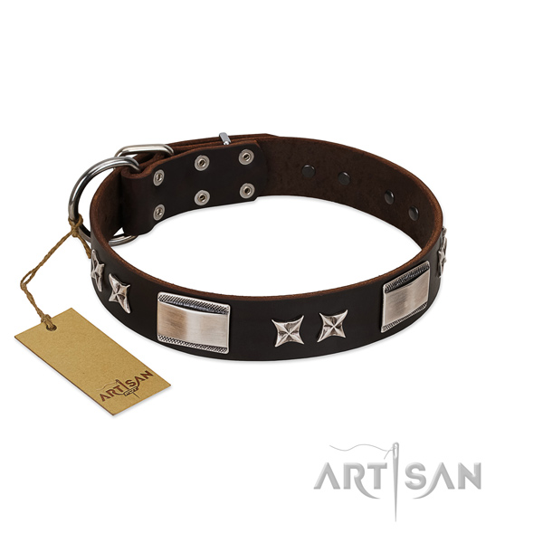 Impressive dog collar of full grain genuine leather