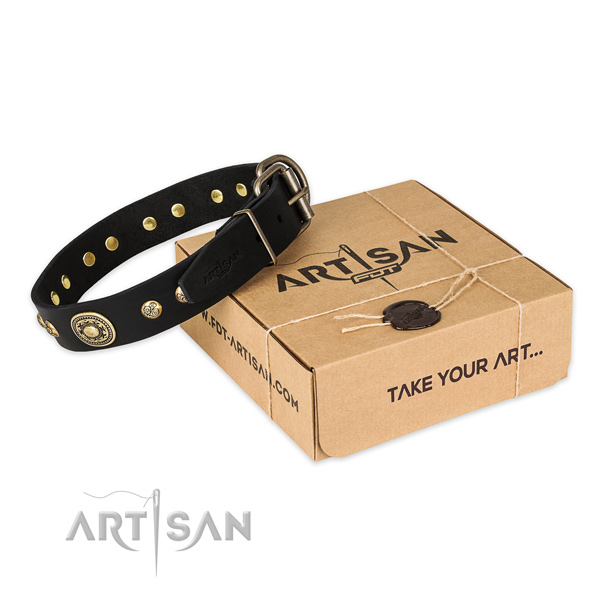 Reliable traditional buckle on leather dog collar for basic training